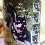 hundetasse-individuell